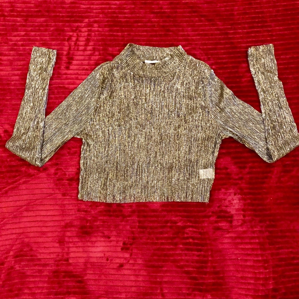 Long sleeved crop top